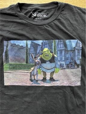Men's Size Large Shrek And Donkey It's Too Quiet Graphic Print T-Shirt (CROPPED)